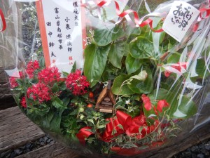 70384040_859323511134936_6584726146611412992_n