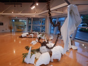 70458045_2088070958167156_8730885772158173184_n