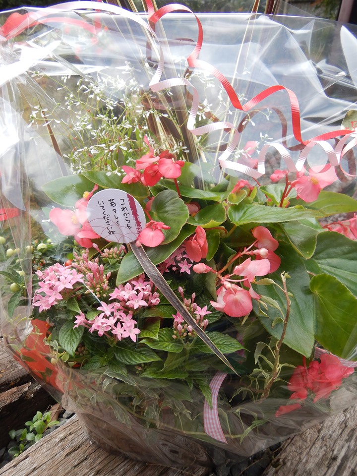 敬老の日のプレゼント🌸