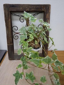 70647008_2422545341156851_6868028168050049024_n