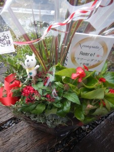 70713970_2439450882799630_1947172077031129088_n