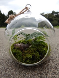 70740955_2498698736880323_3979440809249341440_n