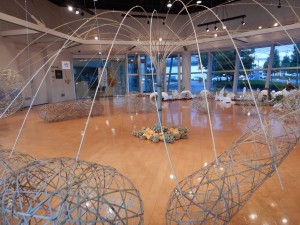 70785521_2909313939084818_2063175853751140352_n