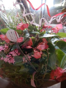 70907129_987305874936605_8797366875148255232_n