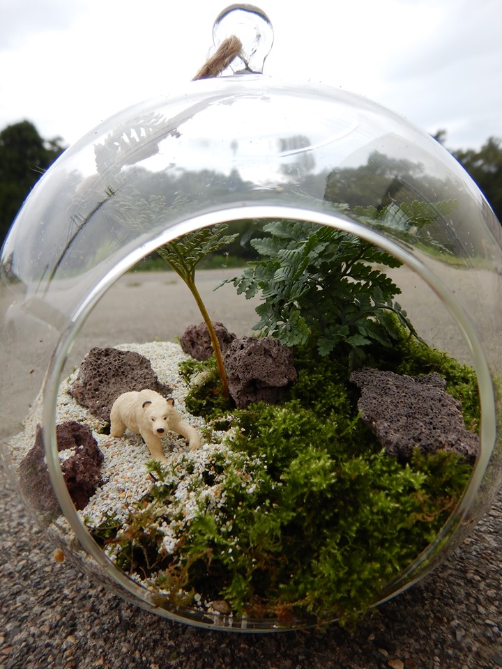 人気のテラリウム作り♪