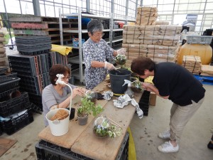 71172650_390112684999607_3765947429598265344_n