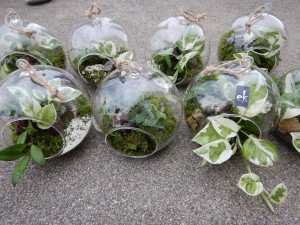 71181315_2615816898697789_3170326974216273920_n