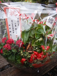 71284717_2456253641313334_5025812692162576384_n