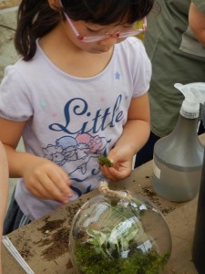 71388750_2608565269187002_241387422712070144_n