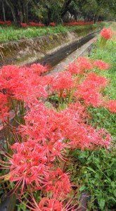 71500568_2386237004925709_2948812927823511552_n