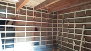 71520749_436787546954008_4020952741907005440_n