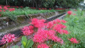 71692824_2165170540254038_5051493147733917696_n