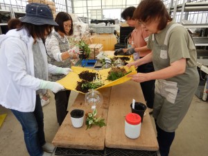 72227825_581723172368822_6001823742227906560_n