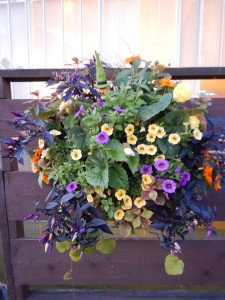 71140466_2173725329594063_7574743239647821824_n