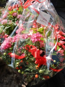 71179673_480377012516806_7219924356258856960_n