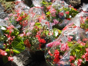 71291340_491550774732230_6799487057010884608_n