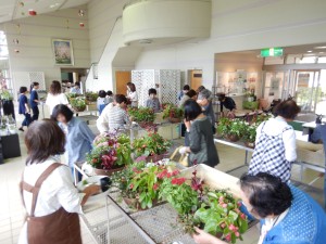 71518987_2483623718390232_619437015405953024_n