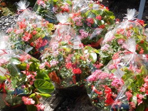 71587358_405894576780156_7243655034116767744_n