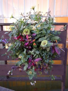 71791315_1325296234317362_8386162643190153216_n