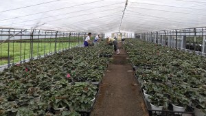 71856854_2472546456156739_2109204584470675456_n