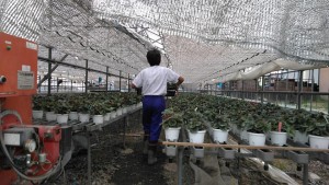 71906751_2472546582823393_7639129021367713792_n