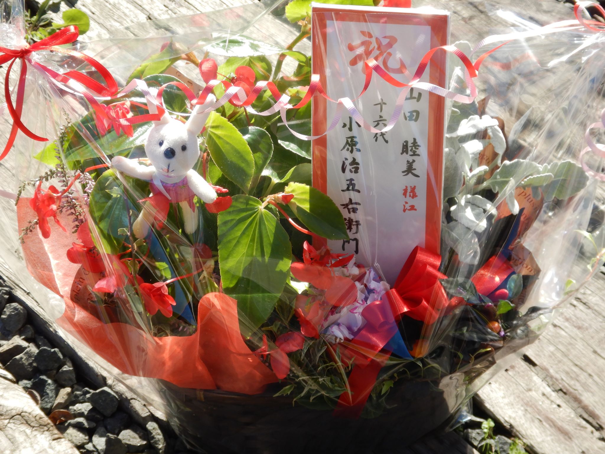 フラワーンダフルでワンダフル☆