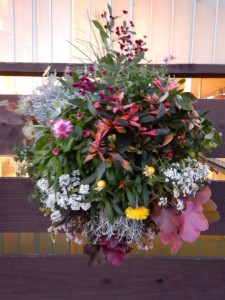 72281490_385993715685186_7197289367507828736_n