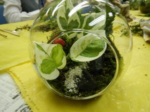 72393378_974177946252908_4373474547937050624_n