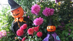 72480300_2505448559533195_3207669700515332096_n