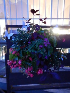 72582021_754950511584832_357899324127969280_n