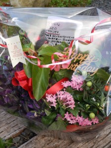 72594039_2473090599598302_1796810133901148160_n