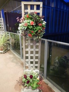 72785224_2479259752192922_1080076926531403776_n