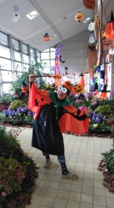 72787908_2505448656199852_4152018427768209408_n