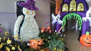 72958428_2505448246199893_2239265016056381440_n