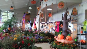 73349220_2505448149533236_4458413126852804608_n