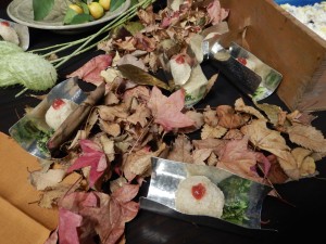 73361294_414235292844300_5830228988320022528_n