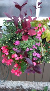 73533029_386055148940707_5364685826565341184_n