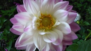 74218610_2505448489533202_6922451743062097920_n