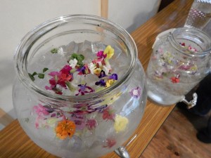 74237606_446889089563143_7726382192519020544_n