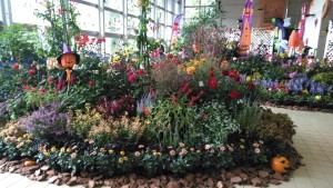 74614018_2505448062866578_4618756900396204032_n