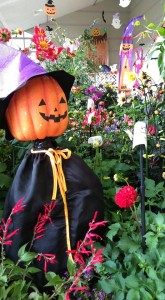 74701596_2505448359533215_3856797884968075264_n