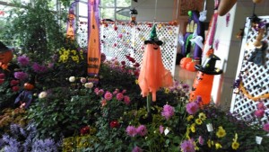 75233510_506872049863524_3414907683638083584_n