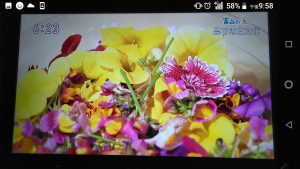 69696603_803185466778598_356117020074311680_n