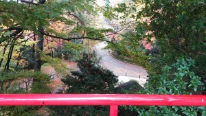 71339287_2565481913529859_4786451579186184192_n