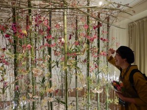 72562263_2541696082575109_2253132005166284800_n