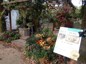 72711176_2541693332575384_919992049321639936_n