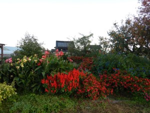 73037843_521347715096779_5730785106549800960_n