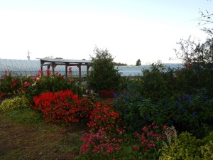 73064371_2189281011371820_5450296095416516608_n