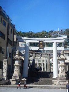 73146900_2425460437717513_5115658382883160064_n