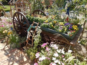 73280689_2541695015908549_3351855072651771904_n